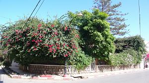 P1150674 Ain El Turk
